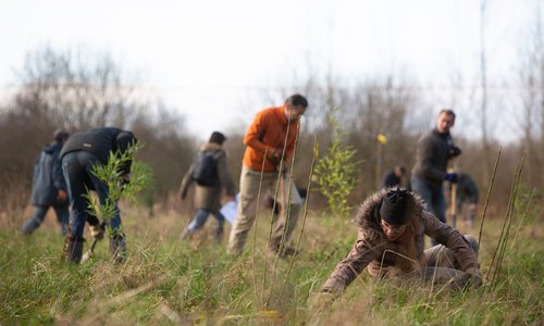 Plantdag Schijndel I