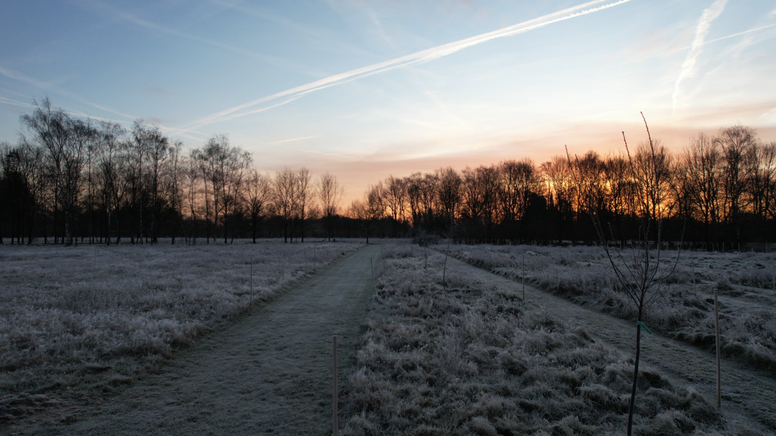 Voedselbos Pickensteeg