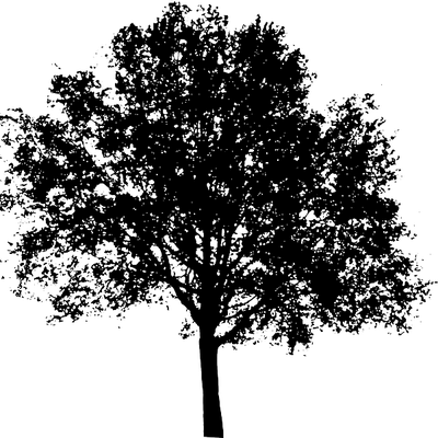 tree-157371_640.png
